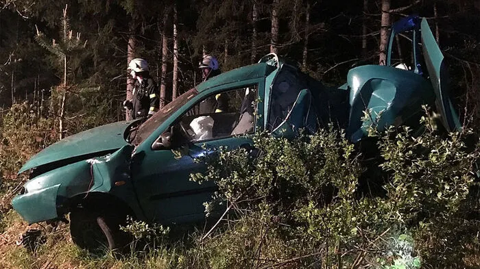 Der Lenker konnte sich selbst aus dem Auto befreien