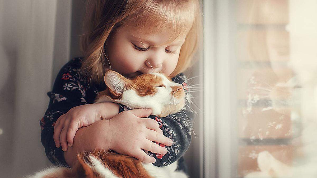 Katzen verhalten sich wie Kinder