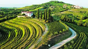Das Hügelland Collio – eine Katalog-landschaft, die man nicht vergessen wird