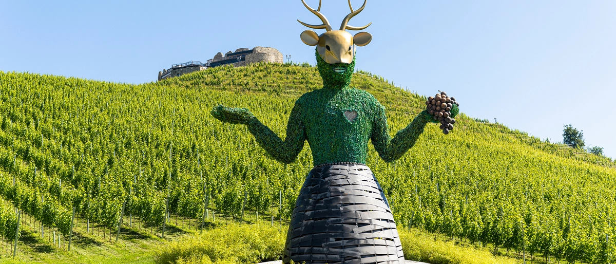 Große Stimmen in einer außergewöhnlichen Kulisse: Burg Taggenbrunn
in St. Veit a. d. Glan in Kärnten von 9. 5. bis 24. 9. 2026