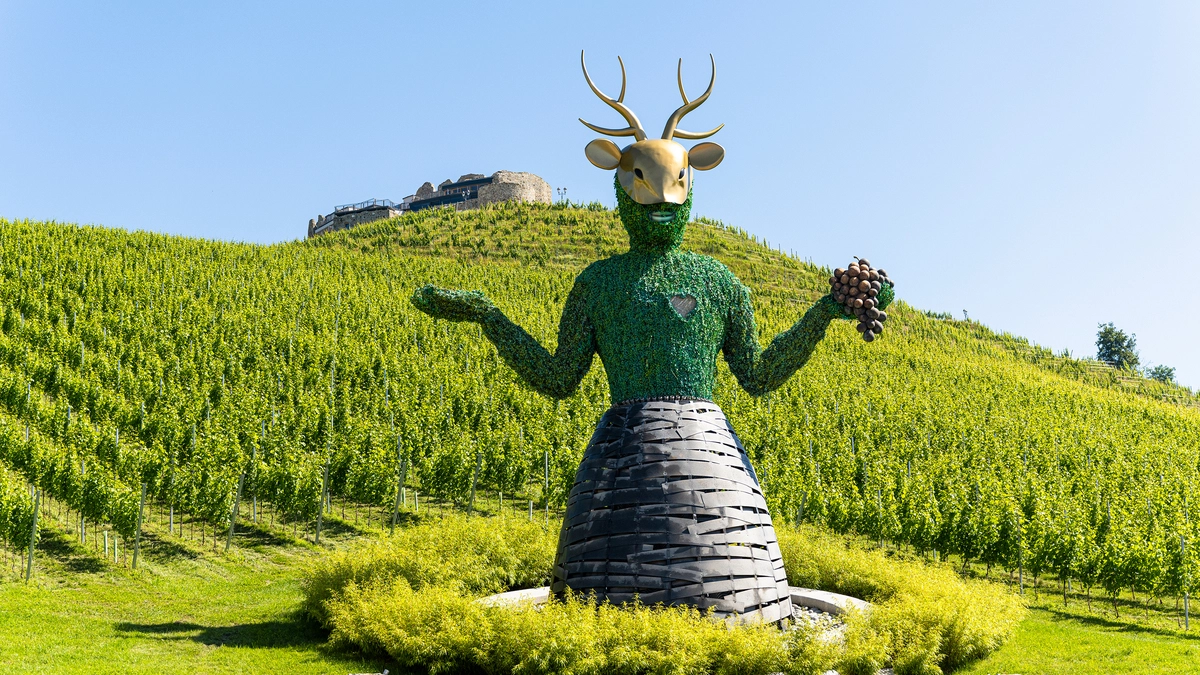 Große Stimmen in einer außergewöhnlichen Kulisse: Burg Taggenbrunn
in St. Veit a. d. Glan in Kärnten von 9. 5. bis 24. 9. 2026