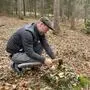 Förster Stefan Schweighofer hat den perfekten Moder gefunden und macht mit seiner Axt aus dem Baumstock Kleinholz