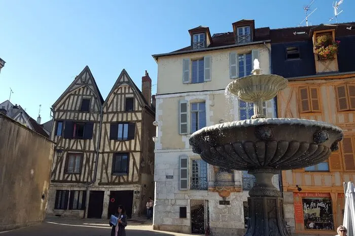 Auxerre, 1995 zur „Stadt der Kunst und Geschichte“ gekürt, hat viele entzückende kleine Geschäfte, Frucht einer Politik, die sich der Wiederbelebung der Altstadt verschrieben und sogar einen „Direktor des urbanen Dynamismus“ bestellt hat.