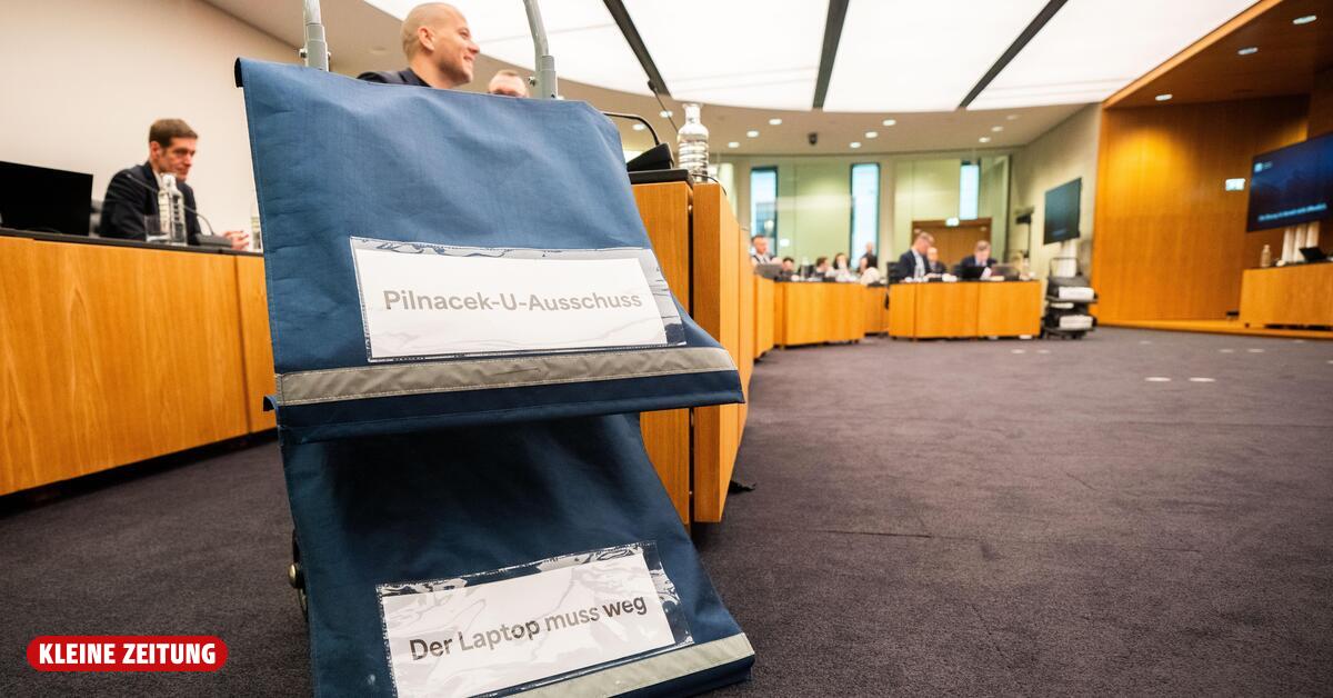 U-Ausschuss: Peter Pilz wird im Fall Pilnesak befragt