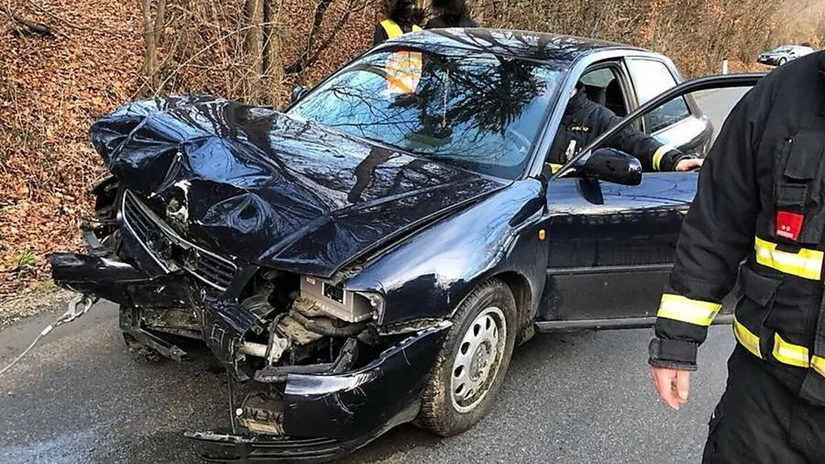 Sechs Mann der Freiwilligen Feuerwehr Pöllau waren im Einsatz