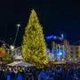 November 29, 2024, Ljubljana, Slovenia: Thousands of people gather at Preseren Square in Ljubljana for the traditional lighting of the Christmas tree on the end of November. This marks the start of the traditional festive season in Ljubljana until the New Year. This year, the affectionate name of the tree is Anita, after the late humanitarian Anita Ogulin. Ljubljana Slovenia - ZUMAs197 20241129_aaa_s197_285 Copyright: xAndrejxTarfilax