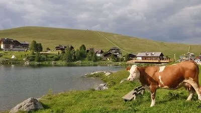 In Häusern rund um den Falkertsee muss das Wasser abgekocht werden