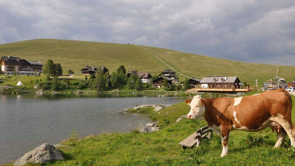 In Häusern rund um den Falkertsee muss das Wasser abgekocht werden