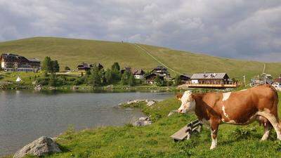 In Häusern rund um den Falkertsee muss das Wasser abgekocht werden