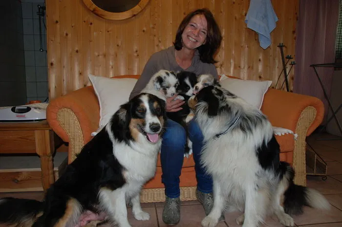 Von den sieben Welpen sind sechs männlich und einer weiblich. Das "Mädchen" ist der lauteste Hund in der Runde.