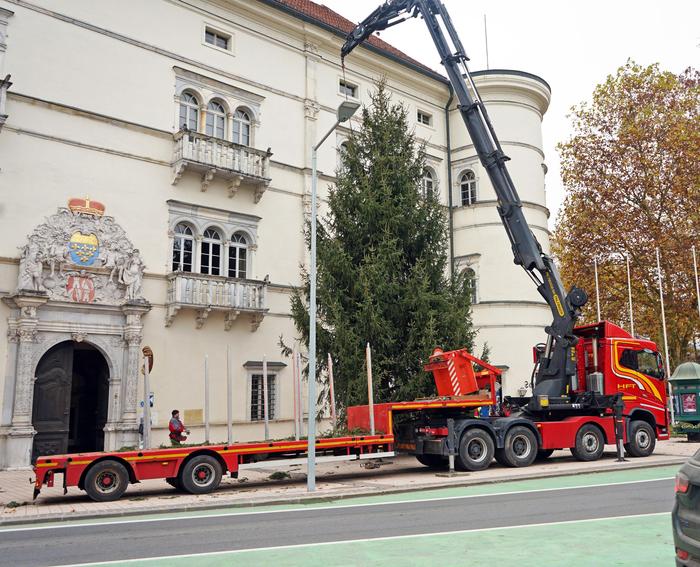 Gestern wurde der Baum per Kran aufgestellt