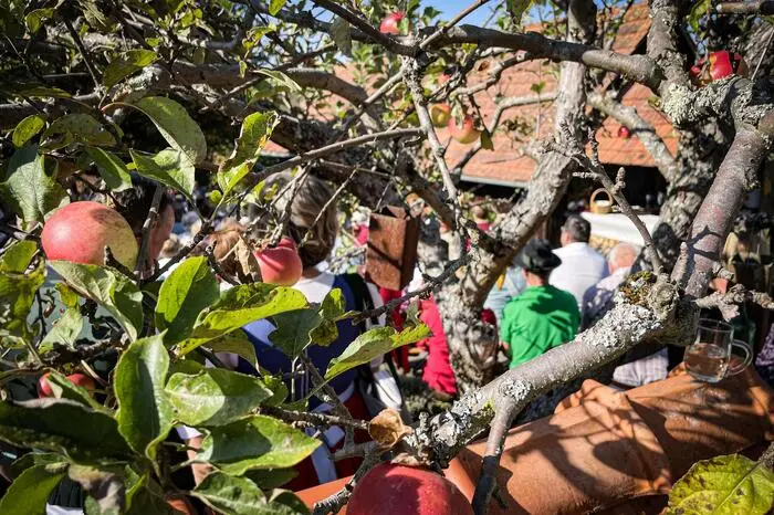 Der idyllische Veranstaltungsort unter Apfel- und Birnenbäumen passte sehr gut als Einstimmung auf den Herbst und entsprach ganz dem Motto „Den Reichtum der Armut spüren“