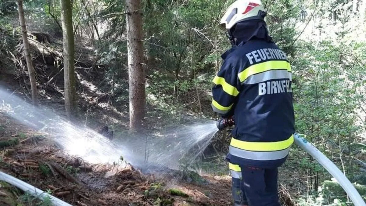 Der Brand war rasch gelöscht