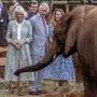 Britain's King Charles III (C), Sheldrick Wildlife Trust CEO Angela Sheldrick (R) and Britain's Queen Camilla (L) look at an elephant during a visit to Sheldrick Wildlife Trust Elephant Orphanage in Nairobi on November 1, 2023. The Sheldrick Wildlife Trust and the Kenyan Wildlife Service work together for conservation and preservation of wildlife and protected areas across Kenya. (Photo by Luis Tato / AFP)