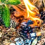 Eine in einem Wald weggeworfene Zigarette löst einen Brand aus