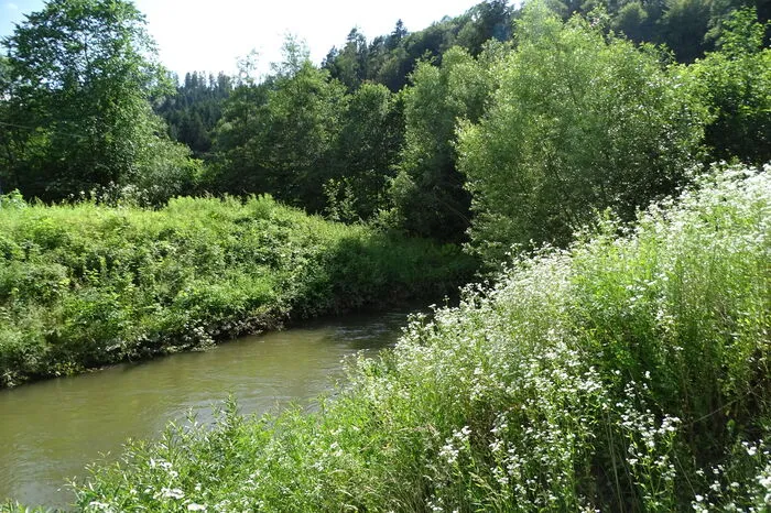 Über zwei Brücken über Kanal und Feistritz kommt man in die Au.