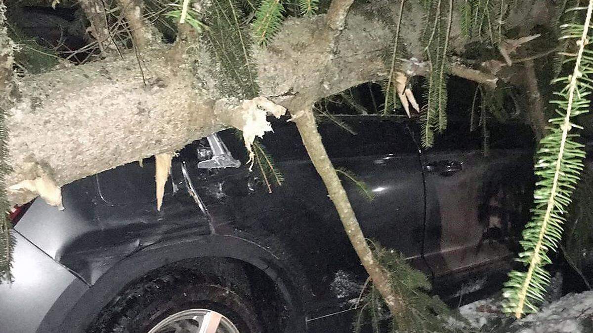 Das Auto wurde durch den stürzenden Baum stark beschädigt, der Lenker hatte Glück