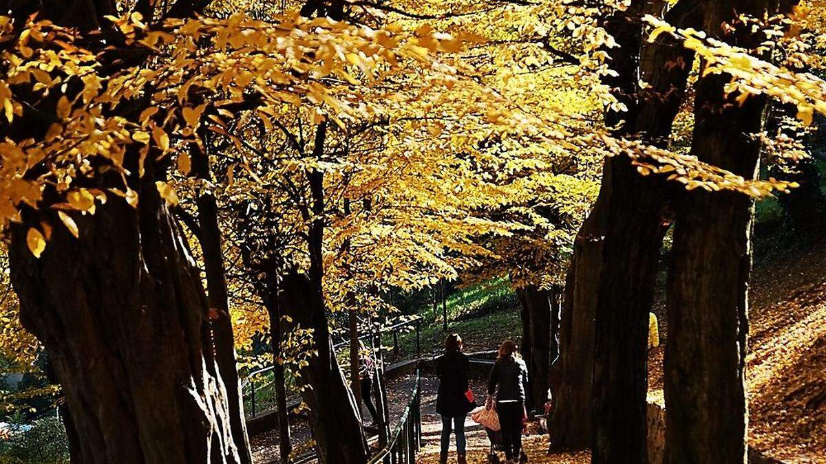 Ideales Wetter für einen Herbstspaziergang 