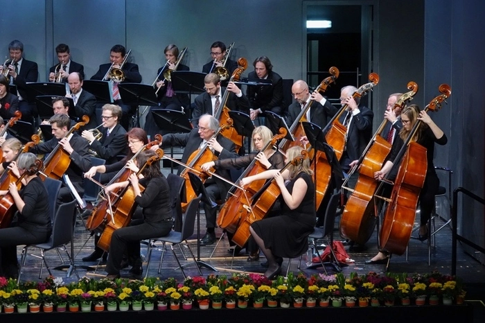 Das großartig spielende Orchester begeisterte das Publikum.