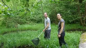 Felicitas Glabischnig und Roman Borovsky beim Versuch Molche, Unken und Frösche zu fangen