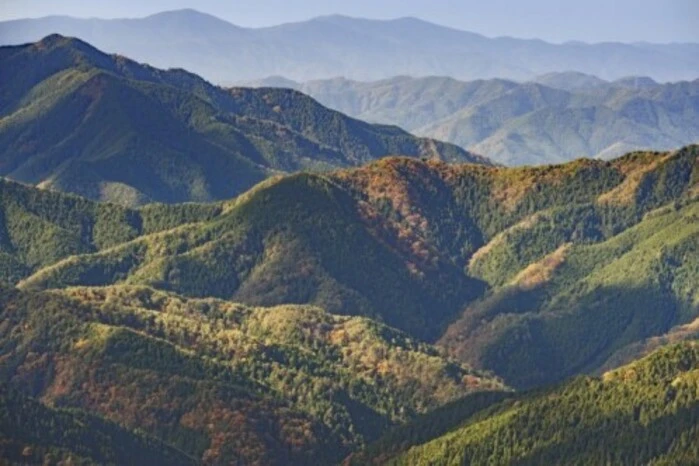 Vegetarisch in Kōya-san, Japan.Das UNESCO-Weltkulturerbe, der Berg Kōya-san, liegt auf der wunderschönen, bewaldeten Halbinsel Kii. Der Berg gilt als heilig und ist ein wichtiger Wallfahrtsort für Anhänger des Shingon-Buddhismus. Mönche und Gläubige halten eine bestimmte vegetarische (häufig auch vegane) Ernährungsweise ein. Auf Japanisch wird es Shojin Ryori genannt, was so viel heißt wie „Essen als Andacht”. Reisende können hier eine bodenständige Küche in jahrhundertealten Restaurants genießen. Da sich jeder zehnte Reisende weltweit über seine Ernährung Gedanken macht, ist Kōya-san mit seiner großen Auswahl an gesunden Speisen der perfekte Ort für Vegetarier und bewusste Genießer.