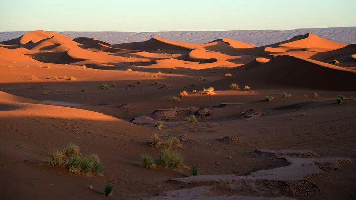 Die Sahara ist die größte Trockenwüste der Erde. Das immer wechselnde Licht auf den Dünen verzaubert jeden Tag aufs Neue. Den ganzen Reisebericht lesen Sie hier