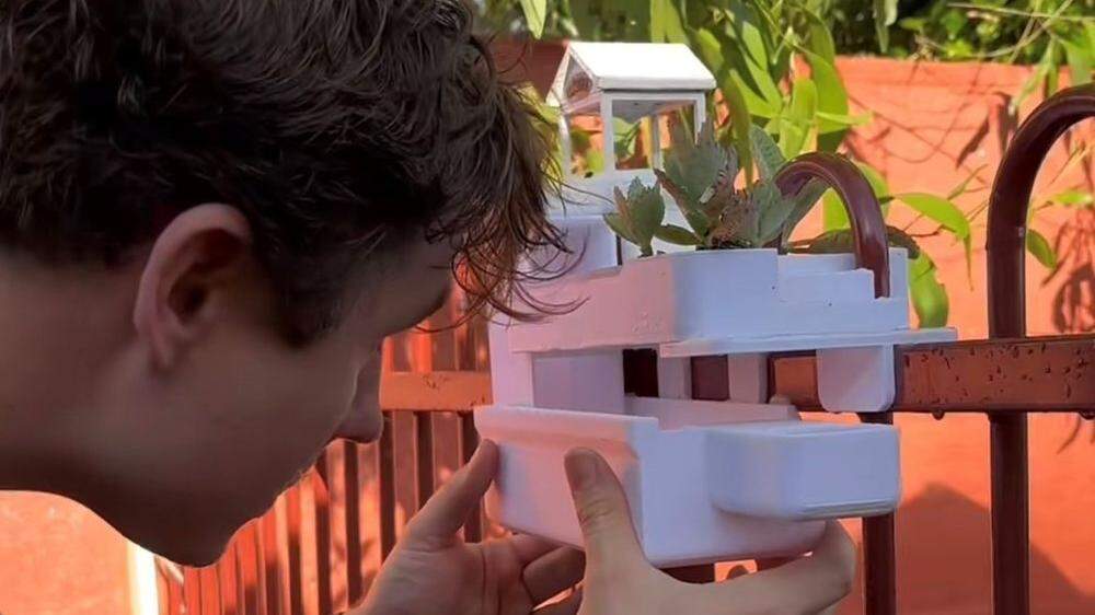 Der Australier Dazza baute einem Frosch ein Haus - und ging viral