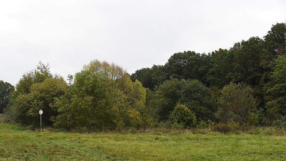 Die Forstbehörde der BH Weiz hat dieses Grundstück in der Gleisdorfer Schießstattgasse jetzt offiziell als Wald deklariert