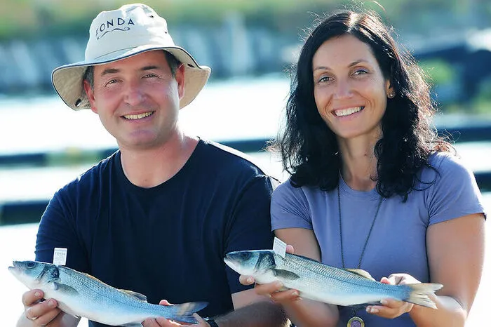 Fonda Branzini. Irena Fonda züchtet mit Bruder Lean in der Adria vor Piran Wolfsbarsche (Branzini), die weit über die Grenzen Sloweniens geschätzt werden. Sehr lehrreich sinddie Führungen durch die Aquakultur, wo die „Fischflüsterin“ ihre Branzino-Babys züchtet. 