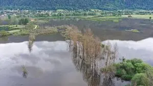 Das Bleistätter Moor wirkt sich positiv auf die Wasserqualität aus. Dennoch ist man noch nicht am Ziel