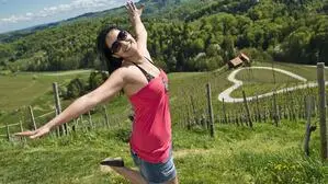 Die berühmte Herzerlstraße im steirischen Weinland liegt übrigens auch in Slowenien und nicht in Österreichs Südsteiermark ...