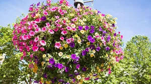 Die Jury war landauf, landab unterwegs - um die Sieger der Flora 2016 zu ermitteln 