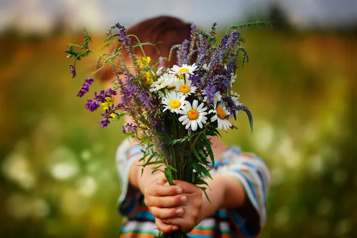Wiesenblumenstrauß. Omas erzählen von diesen Sträußen, die in Zeiten der Not gepflückt wurden. Wer nicht selbst pflückt: Floristen schaffen es in noch perfekterer Form, solche Sträuße mit länger haltbareren Blumen zu arrangieren.