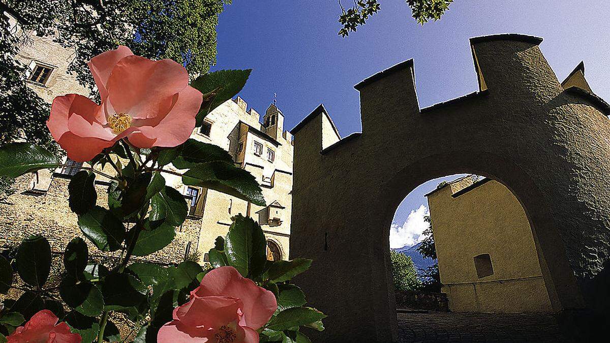 Die Lienz Rose bringt Farbe in die Stadt