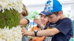 Narzissenstecken: Ein Auftrag für Groß und Klein. 
