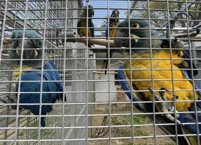 Im Vogelpark Turnersee sind rund 320 verschiedene Vogelarten beheimatet. Auf artgerechte Haltung wird Wert gelegt	 