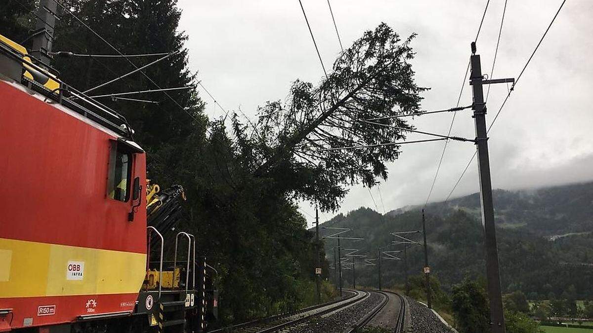 Der Baum stürzte in die Leitung, der Zugverkehr kam zum Erliegen