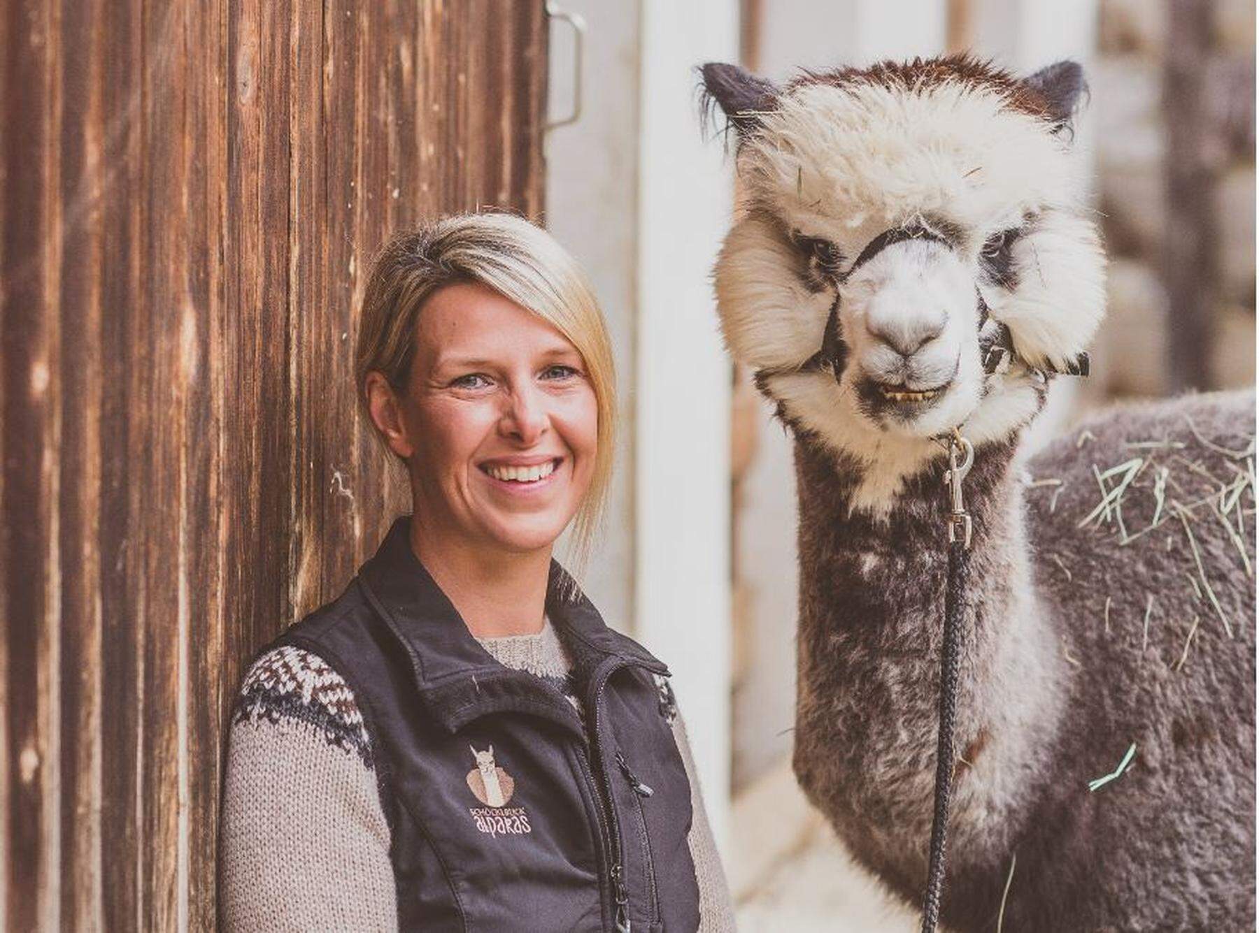 Zur Alpaka Expo Wandern Yoga Co Warum Bauern auf die