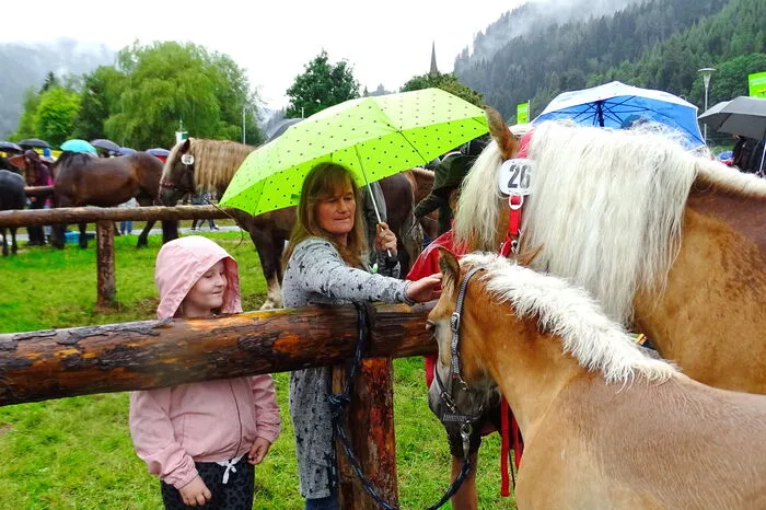 Regen und angekündigter Schneefall am nahe gelegenen Sölkpass trübten die Stimmung nicht.
