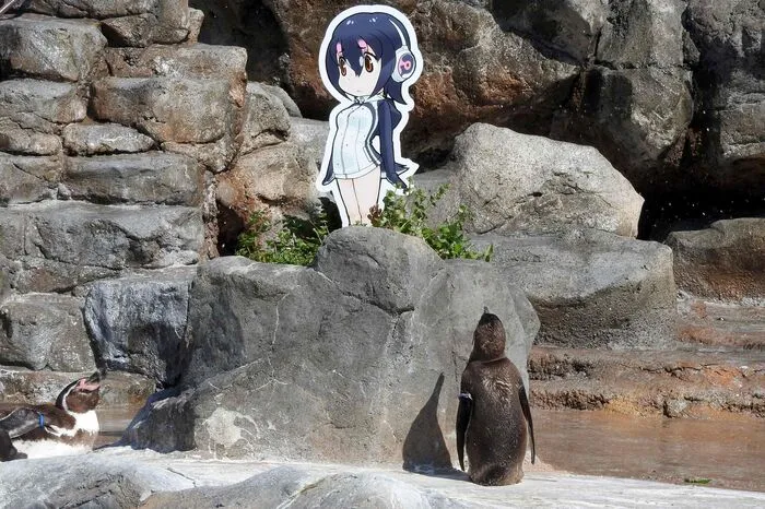 Nach Bekanntwerden seines Todes am Freitag strömten Trauernde in den Zoo und legten Blumen am Pinguingehege nieder. Am Samstag wurde zudem ein selbstgebauter Schrein im Andenken an den Pinguin errichtet. Auch in den sozialen Netzwerken wurde des Pinguins gedacht.