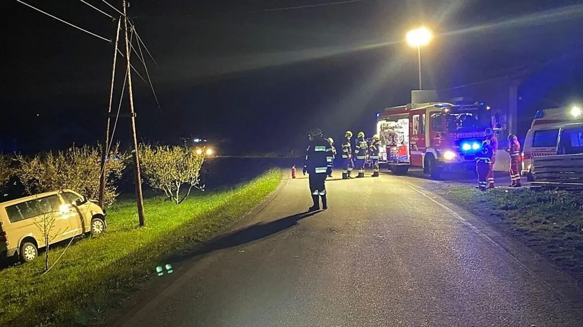 Aus bislang ungeklärter Ursache kam der Lenker von der Straße ab 