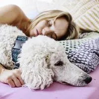 Im Bett mit dem Hund kuscheln - Ja oder Nein?