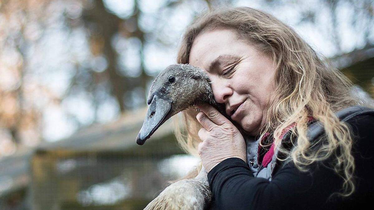 Kleine Wildtiere in großer Not sollen ausziehen - oder kleiner werden