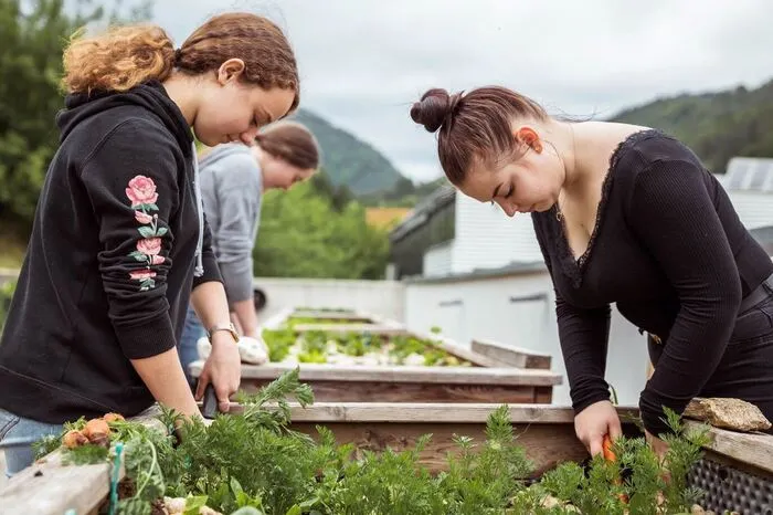 Die Ausbildung dauert drei Jahre.