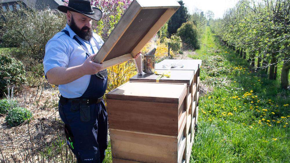 Sebastian Laubach, Justizbeamter, kontrolliert einen Bienenstock