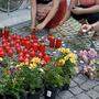 Tausende Kerzen und Blumen wurden zum Gedenken an die Opfer aufgestellt