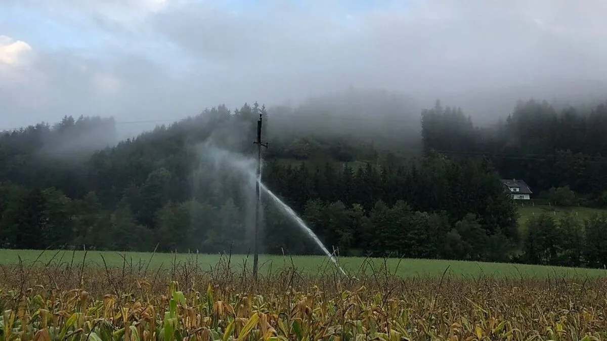 Die Feuerwehren hatten das Feuer schnell unter Kontrolle