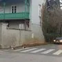 Gehen zwei Pfaue über die Straße ... Kein Witz: Die 