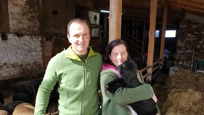 Helmut und Marieke Wernig halten vorwiegend Tiroler Bergschafe, Juraschafe und Merino Landschafe