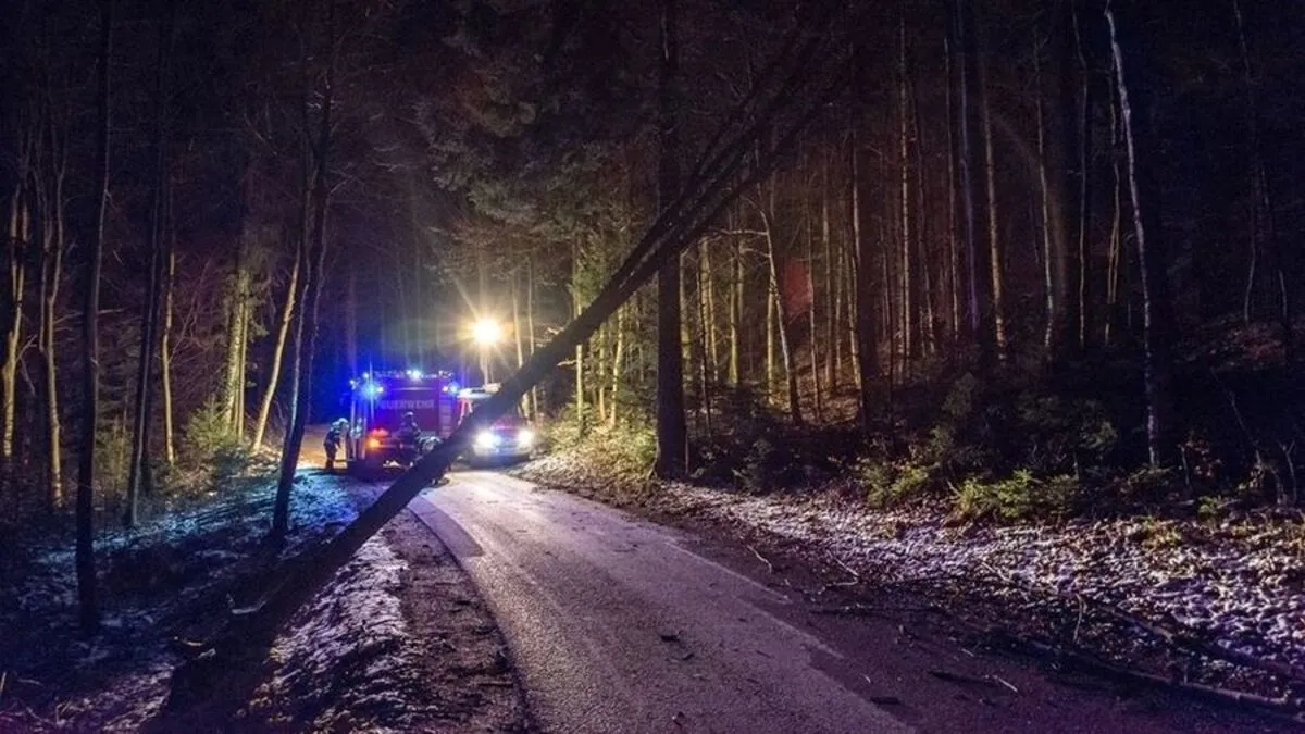 Baumbergung auf der Landschastraße
